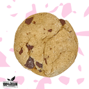 6 x Spinoza : Chocolate-Gingerbread