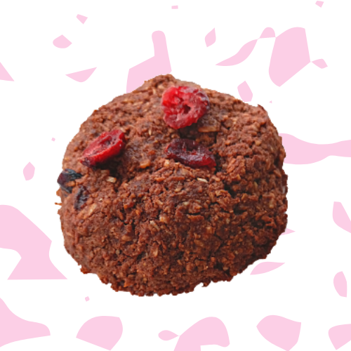 6x SARTRE : Oat-Cranberry-Coconut & Cocoa GLUTEN FREE