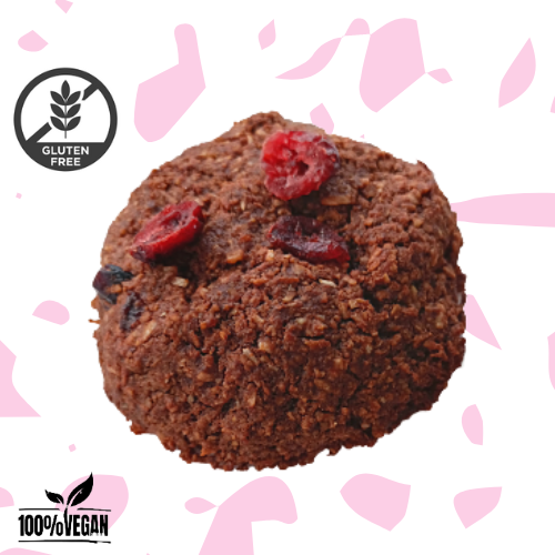 6x SARTRE : Avoine-Canneberge-Coco & Cacao SANS GLUTEN